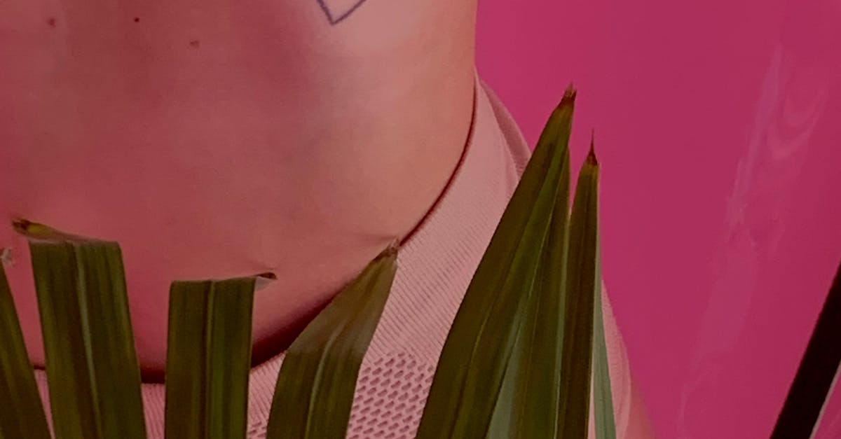 Community Synergy: The Impact of Local Collaborations on Tattoos