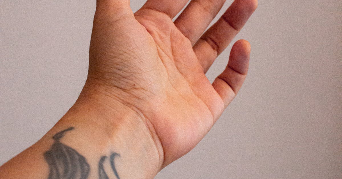 The Intersection of Modern Art and Indigenous Symbolism in Tattoos